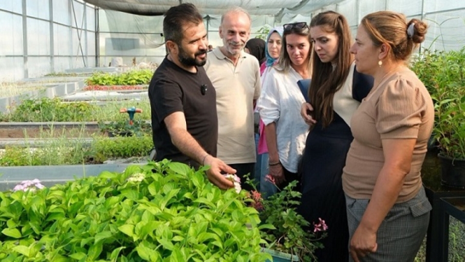 Rize Süs Bitkileri Zirvesi Meyvelerini Veriyor: Sektörün Öncüleri Üreticilerle Bir Araya Geldi.